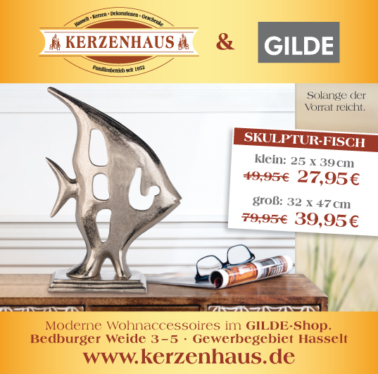 Unser Angebot der Woche im Kerzenhaus Hasselt: Skulptur-Fische in groß oder klein.